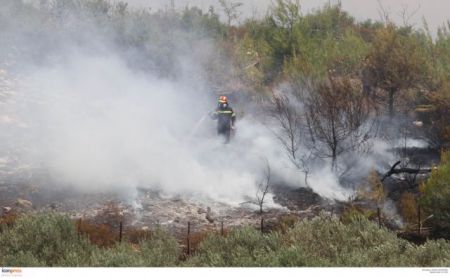 Σε εξέλιξη πυρκαγιά στην περιοχή Δίδυμα Αργολίδας