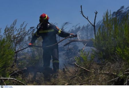 Υπό ελέγχο η πυρκαγιά στα Οινόφυτα – Σε εξέλιξη  στα διόδια Αφιδνών