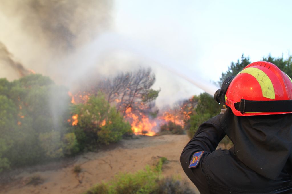 Στις φλόγες δάσος στα Μέγαρα – Δεν απειλείται κατοικημένη περιοχή