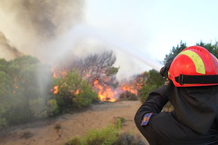 Σε ύφεση η δασική πυρκαγιά στο Πόρτο Ράφτη Αττικής
