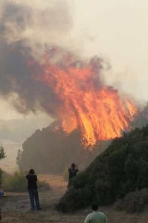 Οι δασικοί χάρτες θα μας έσωζαν από τις πυρκαγιές