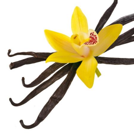 Βανιλίνη: Ουκ εν τω πολλώ το άρωμα