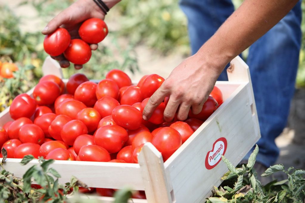 Για ένα καλύτερο περιβάλλον