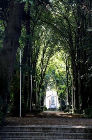 Πανηγύρι στην Τεγέα