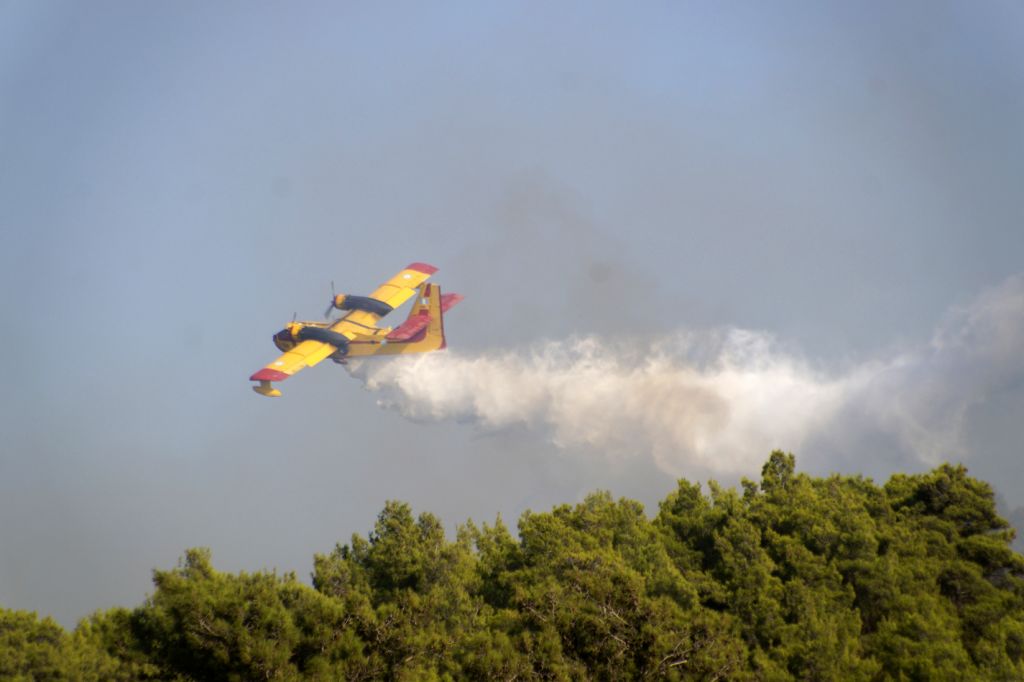 Υπό έλεγχο η μεγάλη πυρκαγιά στην Τριφυλία Μεσσηνίας