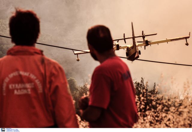 Fire fighters struggling to contain two forest fires in Kefalonia