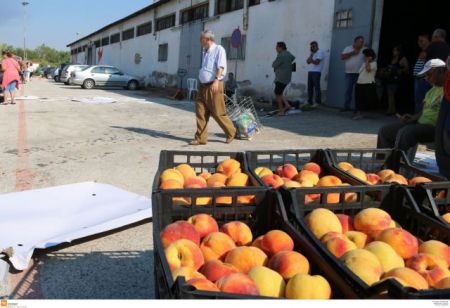 Πάνω από 20 τόνοι ροδάκινα από την Περιφέρεια Κεντρικής Μακεδονίας