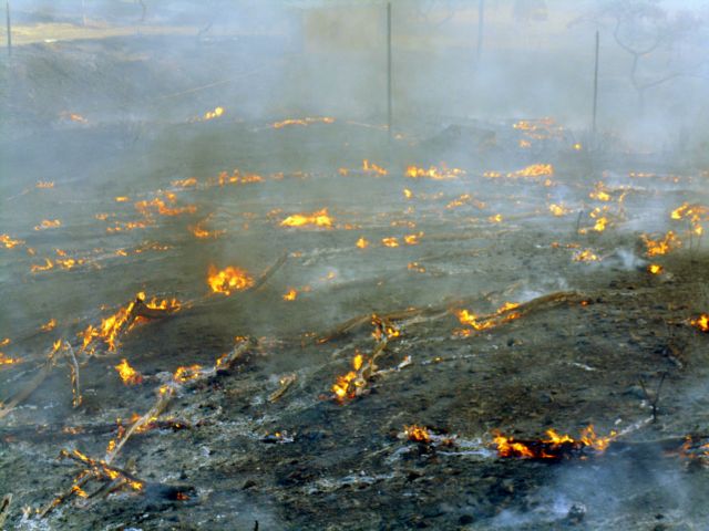 Μαίνεται για δεύτερη ημέρα η πυρκαγιά στη Μυτιλήνη
