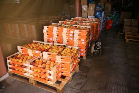 Δωρεάν διανομή 12 τόνων ροδάκινων στον Πειραιά