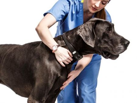 Προς το αύριο