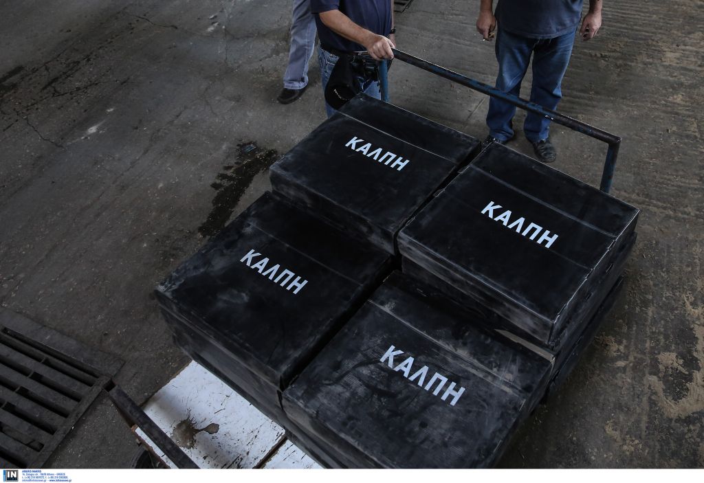 Επαγγελματικό Επιμελητήριο: Στις εκλογές διακυβεύεται το μέλλον μας