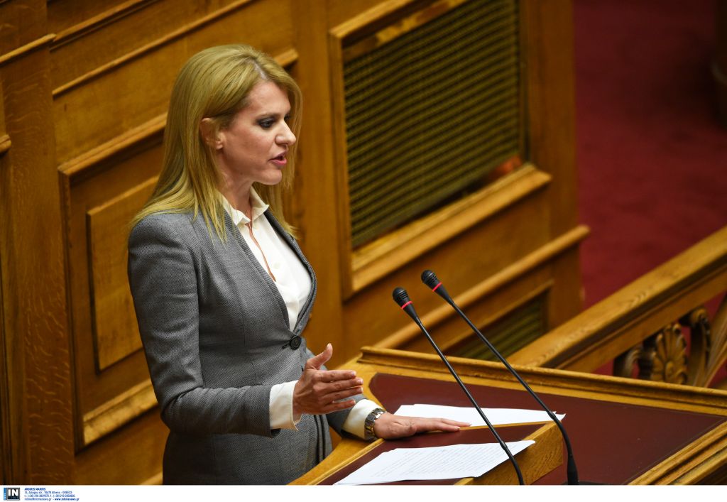 Τζάκρη: Μείγμα παλαιών και νέων κινήτρων στον νέο αναπτυξιακό