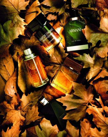 Πόλος έλξης