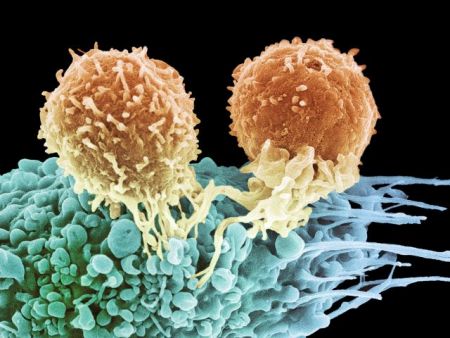 Ιοί που σκοτώνουν τον καρκίνο φιλοδοξούν να γίνουν viral