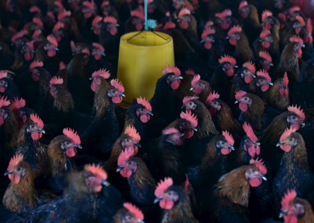 Βακτήρια ανθεκτικά σε κάθε αντιβιοτικό έφτασαν και στην Ευρώπη