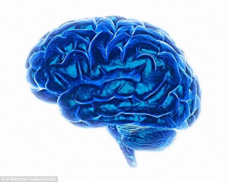 Αμερική: Εταιρία υπόσχεται back-up στον εγκέφαλο μετά θάνατον