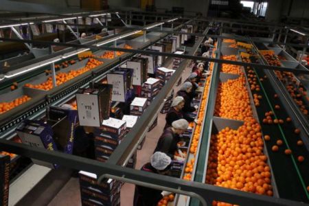 Παραμένει ελλειμματικό το εμπορικό ισοζύγιο αγροτικών προϊόντων