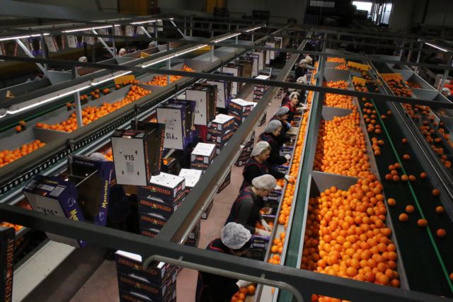 Παραμένει ελλειμματικό το εμπορικό ισοζύγιο αγροτικών προϊόντων