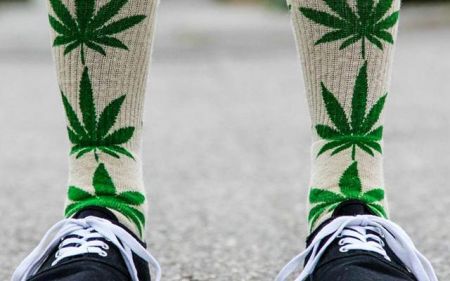 Ετοιμάζεται προσχέδιο ΚΥΑ για την καλλιέργεια κλωστικής κάνναβης