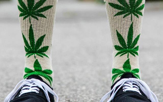 Ετοιμάζεται προσχέδιο ΚΥΑ για την καλλιέργεια κλωστικής κάνναβης