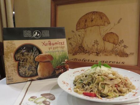 Ο κόσμος των μανιταριών