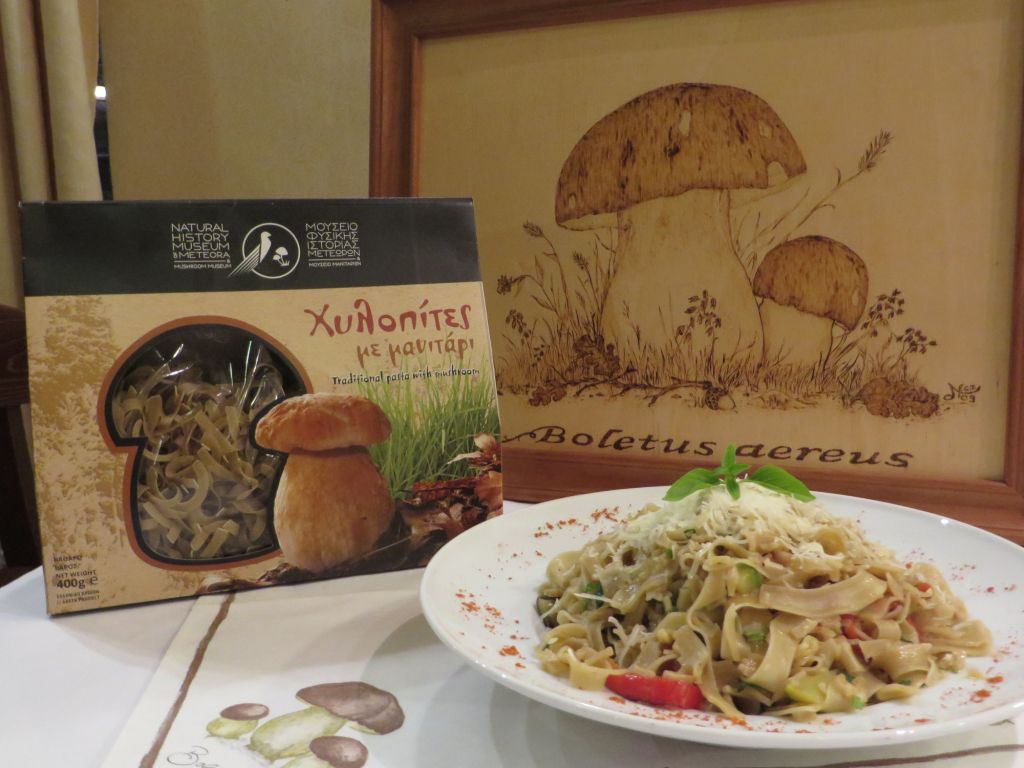 Ο κόσμος των μανιταριών