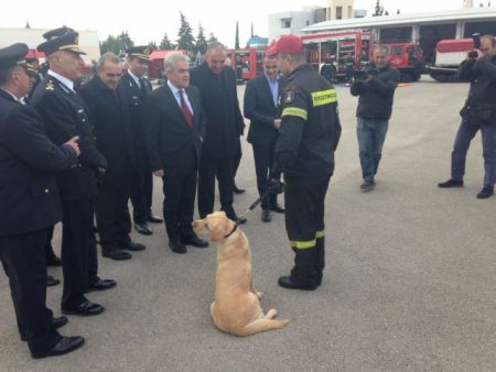 Το προφίλ των εμπρηστών στις πυρκαγιές του 2015