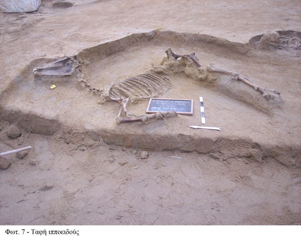 Καλά διατηρημένη ταφή αλόγου στην περιοχή του Φαληρικού Δέλτα