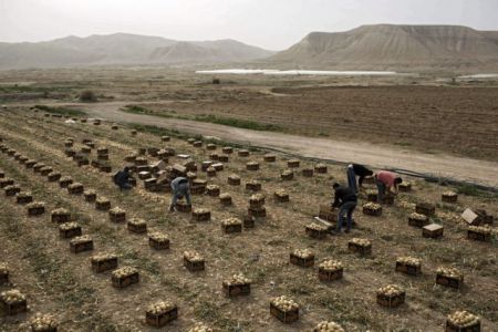 Ισραήλ: Προσάρτηση γης στην κατεχόμενη Δυτική Όχθη