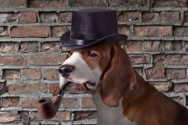 Αστυνομικό πανόραμα