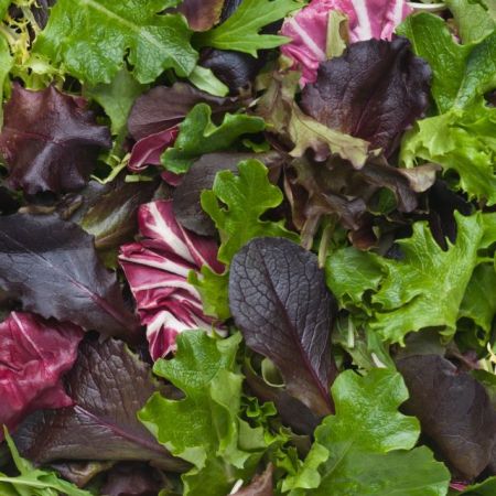 ΗΠΑ: Ένας νεκρός, 12 νοσηλεύονται με λιστερίωση από έτοιμες σαλάτες