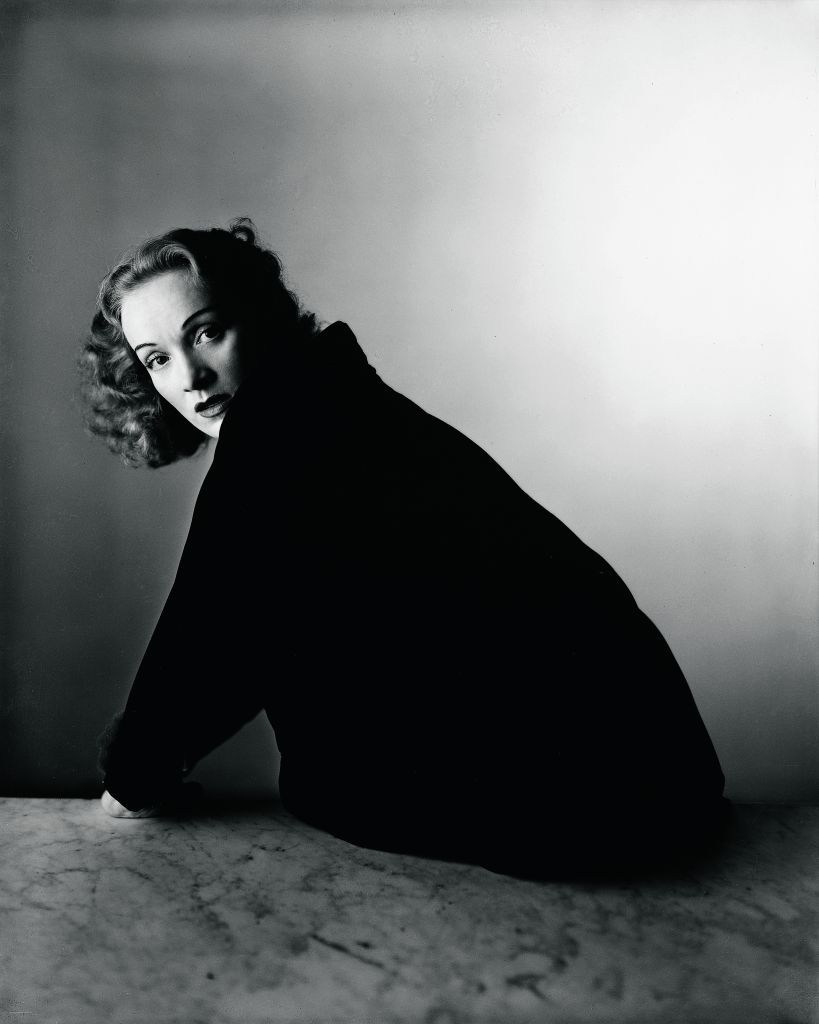 Ιρβινγκ Πεν: Ο Μποτιτσέλι του φακού