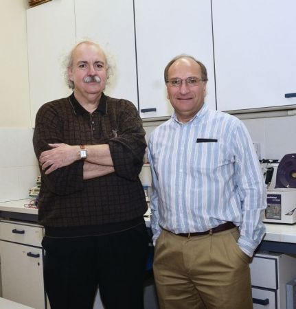 Λάνγκλεμπεν-Ορφανός: Οι γιατροί που δίνουν ζωή στους πνεύμονες