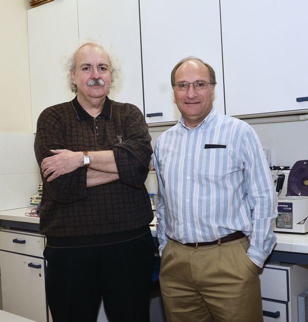 Λάνγκλεμπεν-Ορφανός: Οι γιατροί που δίνουν ζωή στους πνεύμονες