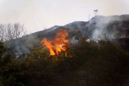 Χανιά: Σε εξέλιξη η φωτιά στα Σφακιά, στο πευκοδάσος της «Σελούδας»