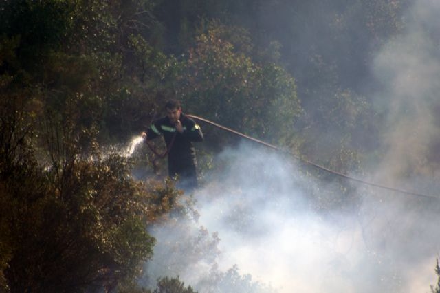 Πυρκαγιά σε δάσος του Σελάκανο της Ιεράπετρας Λασιθίου