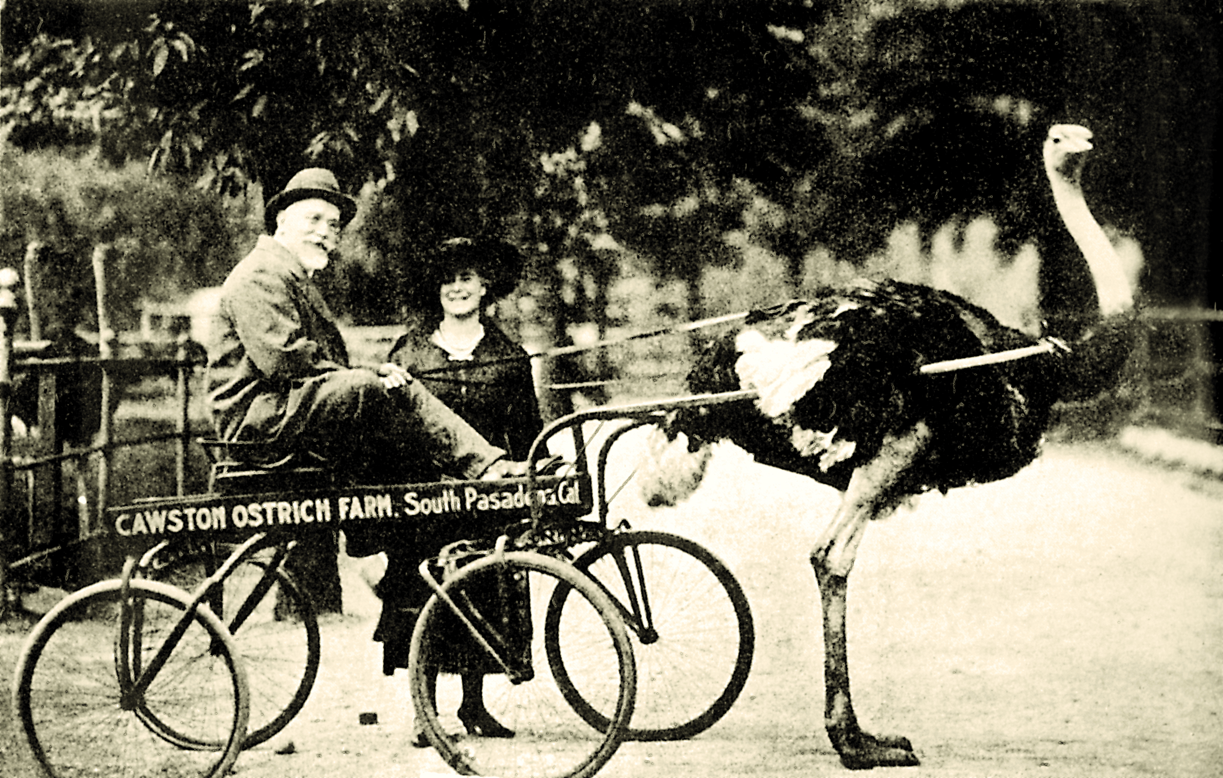 Ελευθέριος Βενιζέλος: 80 χρόνια από τον θάνατό του