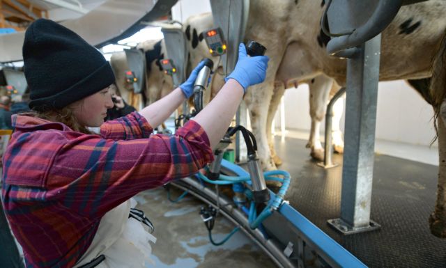 Αυστριακές και Γερμανίδες από τις πιο «ριγμένες» εργαζόμενες στην Ευρώπη