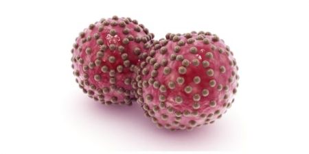 Ανισότητες μεταξύ των χωρών και στην επιβίωση από τον καρκίνο