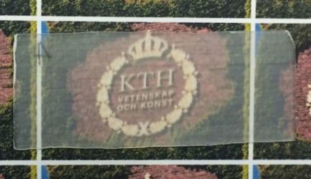 «Διάφανο ξύλο» για φωτεινούς τοίχους