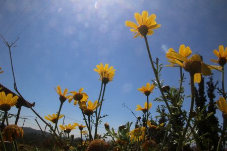 Καλός ο καιρός ανήμερα του Πάσχα