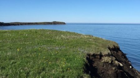 Σπουδαία ανακάλυψη ξαναγράφει την ιστορία των Βίκινγκς στην βόρειο Αμερική