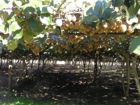 Πηνειός: γενναιόδωρος και απειλούμενος