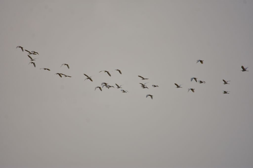 Σταδιακή επιδείνωση του καιρού σε όλη τη χώρα από το βράδυ της Κυριακής