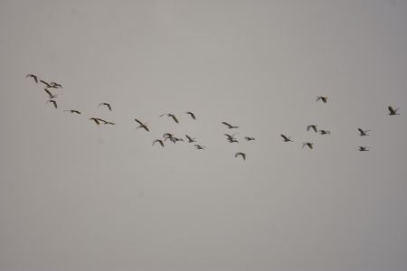 Σταδιακή επιδείνωση του καιρού σε όλη τη χώρα από το βράδυ της Κυριακής