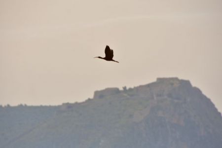 Με σκόνη και υψηλές θερμοκρασίες μπαίνει ο Απρίλιος