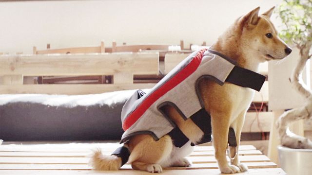 Προς το αύριο