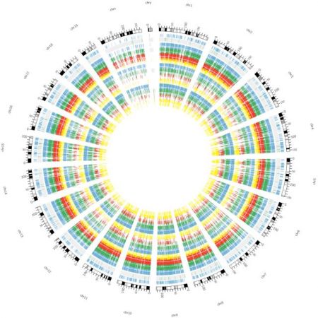 Το ελληνικό Κέντρο Γονιδιωματικής