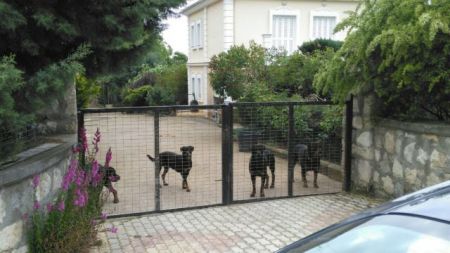 Κοζάνη: Αιτήσεις στον δήμο για υιοθεσία των ροτβάιλερ που σκότωσαν τον 5χρονο