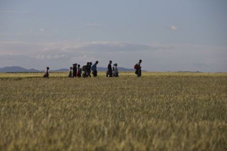 «Πάνω από 5 δισ. ευρώ» τα κέρδη των διακινητών προσφύγων